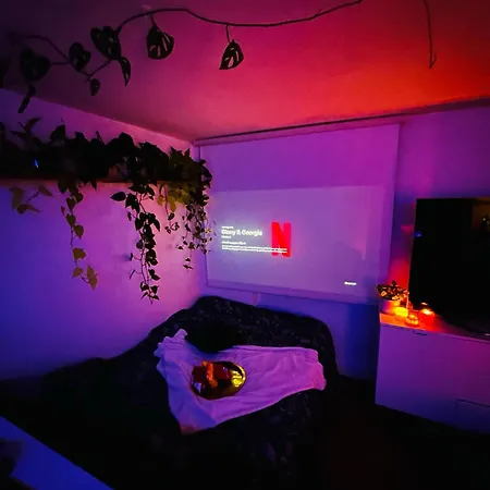 Cosy Centre-ville/mer * Le Havre